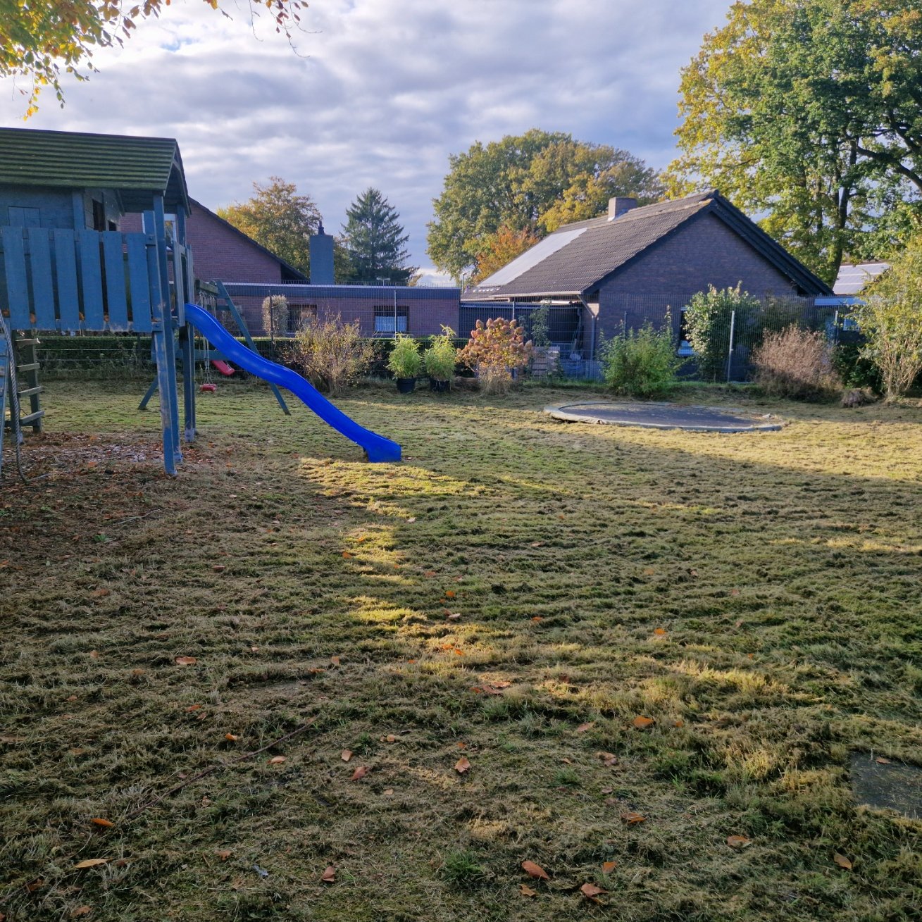 Garten wieder auf Vordermann bringen